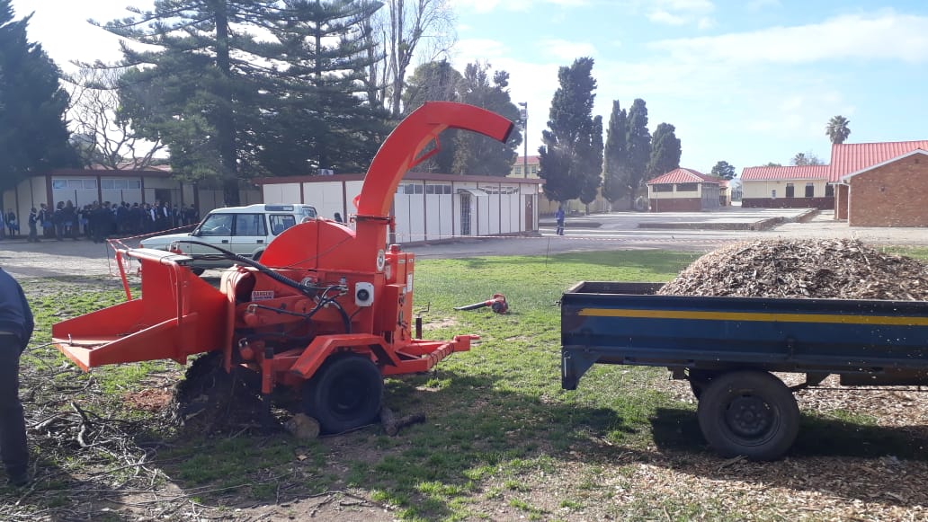 Cape tree services cape tree services
are you looking in Barrydale