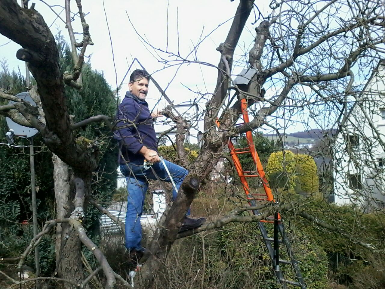 Cape tree services cape tree services
are you looking   in Swellendam