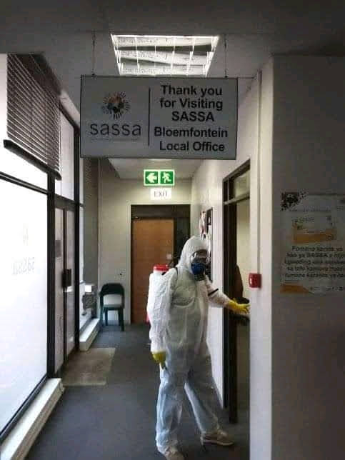 Pest control services disinfection and fumigation servi in Bloemfontein